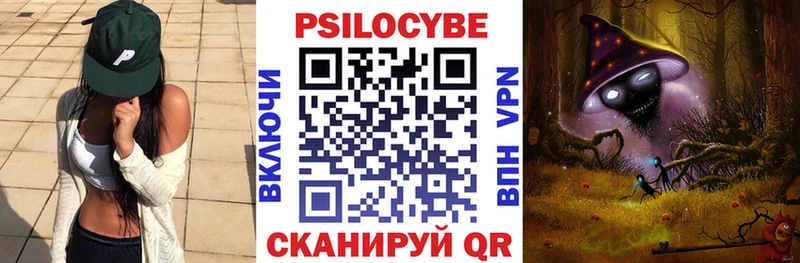 кракен онион  Калининец  Псилоцибиновые грибы Magic Shrooms 